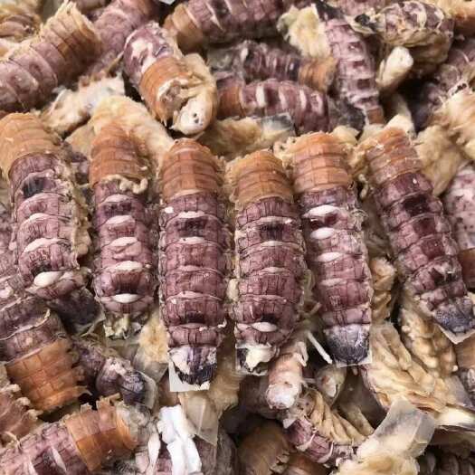 东山县皮皮虾肉新鲜冷冻爬虾虾姑肉琵琶虾肉无壳生肉熟肉去壳纯肉酒店
