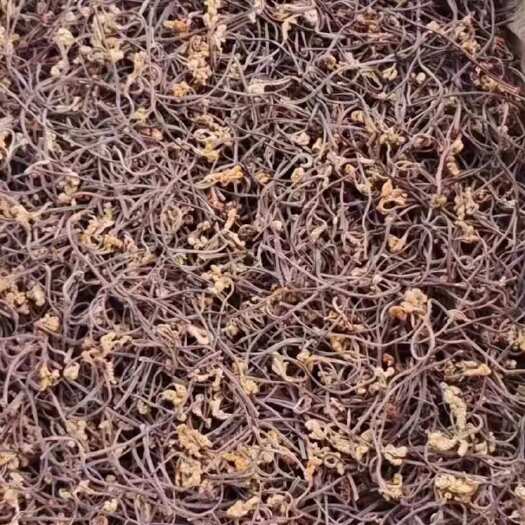 湖南蕨菜干
