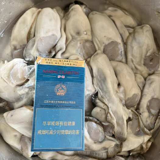  鲜蚝肉