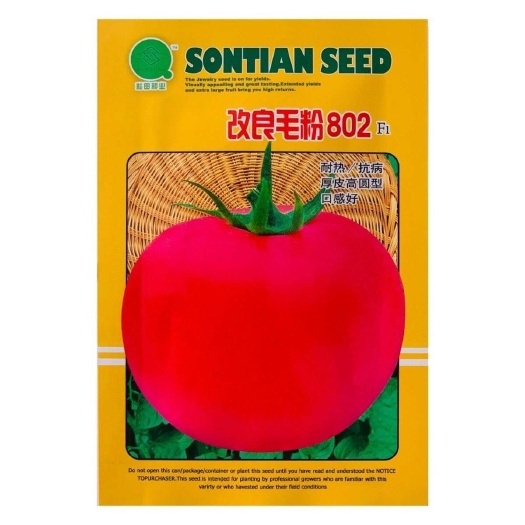 改良毛粉802西红柿种子大果粉番茄种子大西红柿高产大田蔬菜种
