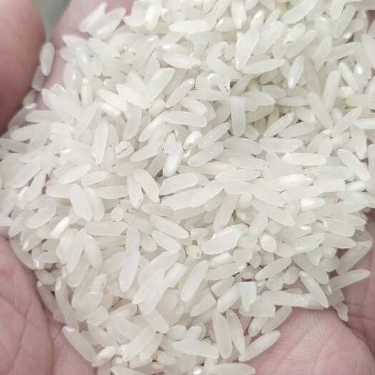 芷江县湖南怀化清香米