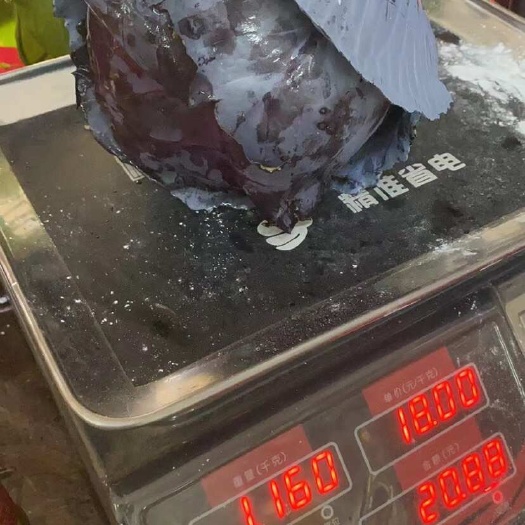 100亩紫甘蓝大量上市中
