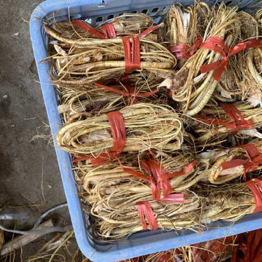 贺州种植五指毛桃，中扎，足干，无硫