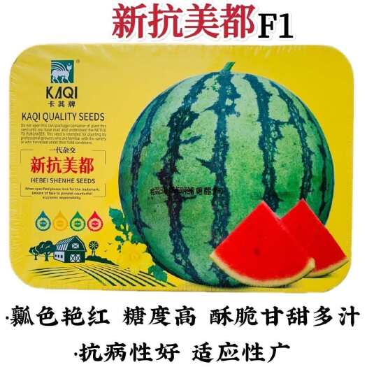 淮安新抗美都西瓜种子新品种杂交一代圆形西瓜种籽瓤色艳红酥脆糖度高