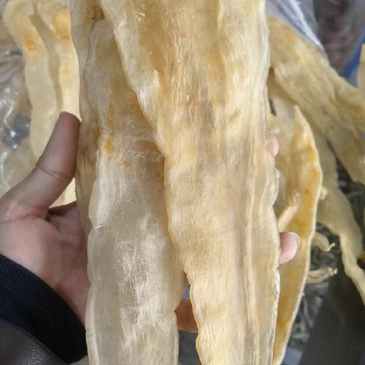 东山县深海鳘鱼胶 精选北海阴阳花胶 孕妇小孩营养品 滋补品  礼品