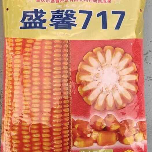 晴隆县国审玉盛馨717玉米杂交种4斤穗轴红色籽粒黄色适宜云贵川种植
