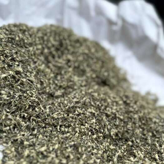 苏州明前碧螺春