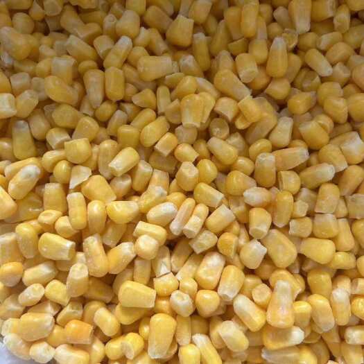 鸡泽县903超甜超脆玉米粒。厂家直销 价格便宜 质量保证