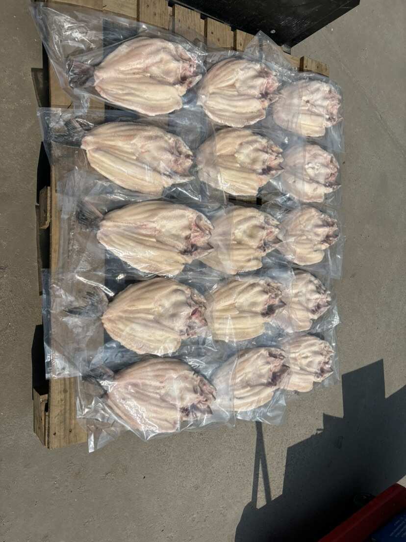 越南反骨腌制开背鱼，湄公鱼，原条开背鱼，全国接单