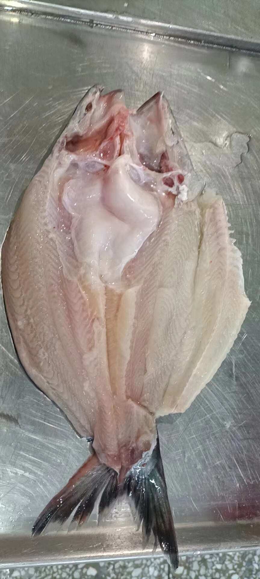 越南反骨腌制开背鱼，湄公鱼，原条开背鱼，全国接单