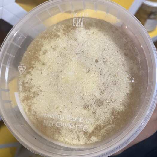 霍爾果斯野蜂蜜