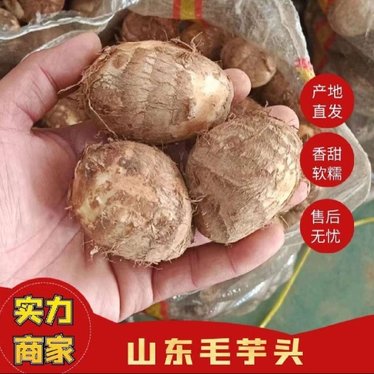 莒县芋头种子（8520杜宝品，高产芋头种子）（全国发货）