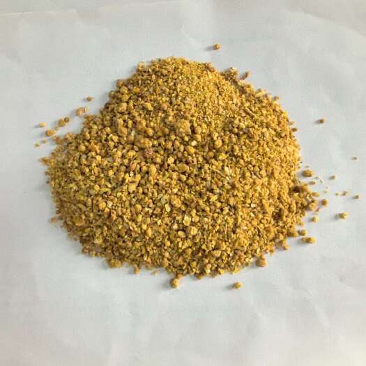 巨鹿县糖化玉米粉，糖份30蛋白9脂肪6 水分8灰分7 可代替玉米
