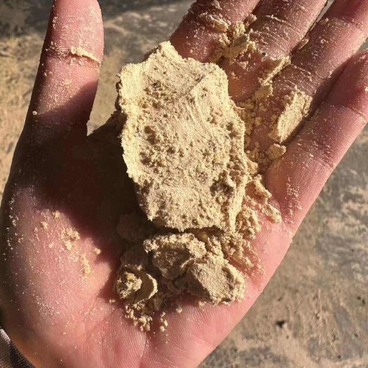 正定县小米油糠 各种指标 一手货源 支持到场看货