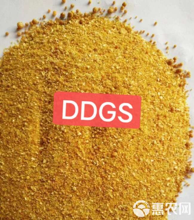 烘干玉米蛋白DDGS