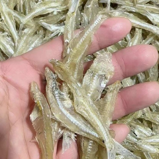  海燕鱼干