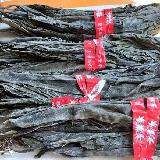 重庆市海带头 霞浦海带头，无沙，8成干 批发现货