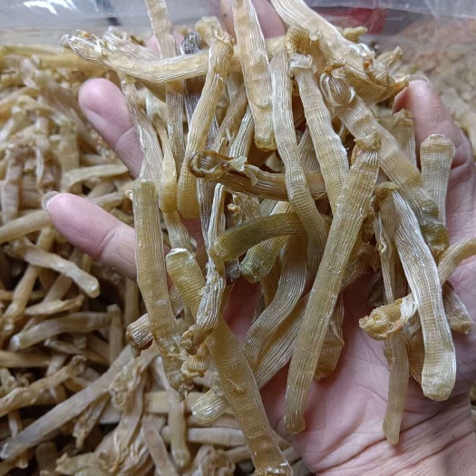 北海北海小沙虫干900头左右一斤海鲜干货批发零售