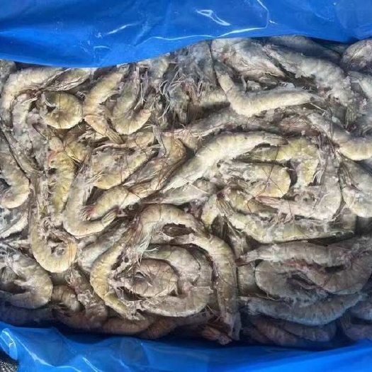 济南蓝马盐冻6070 批发一件代发