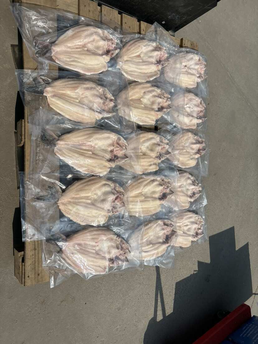 越南反骨腌制开背鱼，湄公鱼，原条开背鱼，全国接单