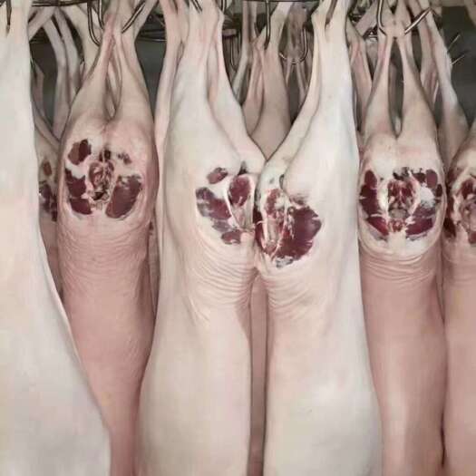 深圳草膘羊肉