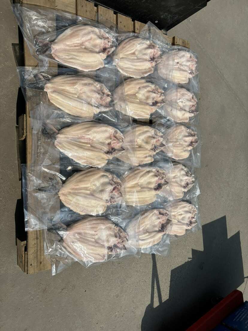 越南反骨腌制开背鱼，湄公鱼，原条开背鱼，全国接单