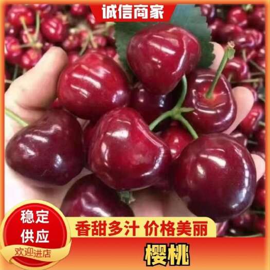 大连大连车厘子美早樱桃现摘现发，顺丰包邮，欢迎主播电商可一件代发