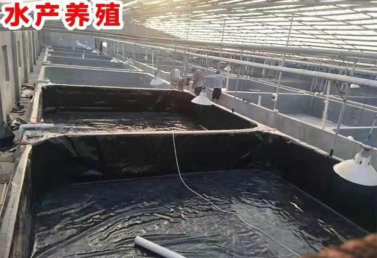 鱼塘防渗膜防漏土工膜加厚蓄水池，全新料，包邮，厂家直销