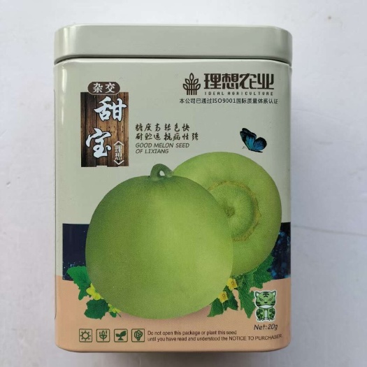 沭阳县理想甜宝甜瓜种子