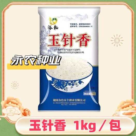 祁阳市玉针香 谷种优质香米稻种 常规水稻种子晚稻种子米质优浓香米