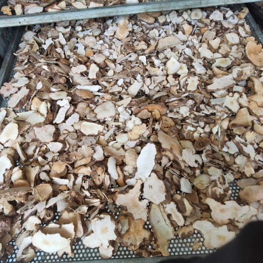 天峨县土茯苓干片 无硫足干货