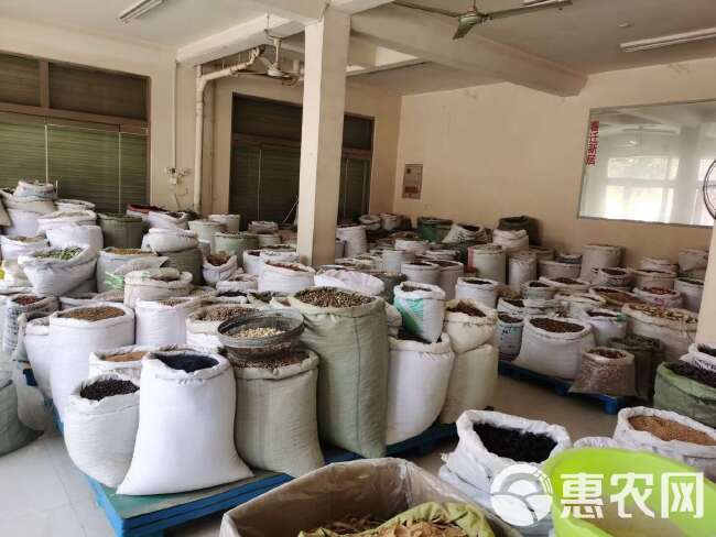 【永发药业】枳实 小枳实片 芸香科甜橙幼果切片 药典品种