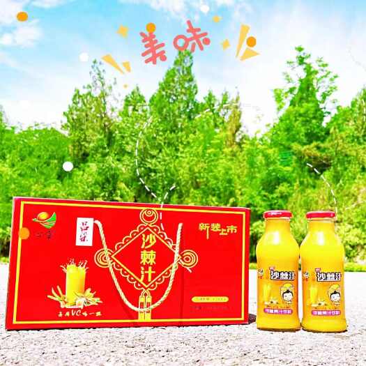 太原沙棘汁  山西特产  吕梁沙棘果汁饮料 原汁高含量30%