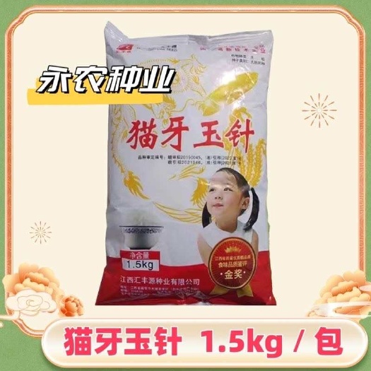 祁阳市香稻谷种猫牙玉针长粒优质常规矮杆浓香型米饭香甜优质稻正品