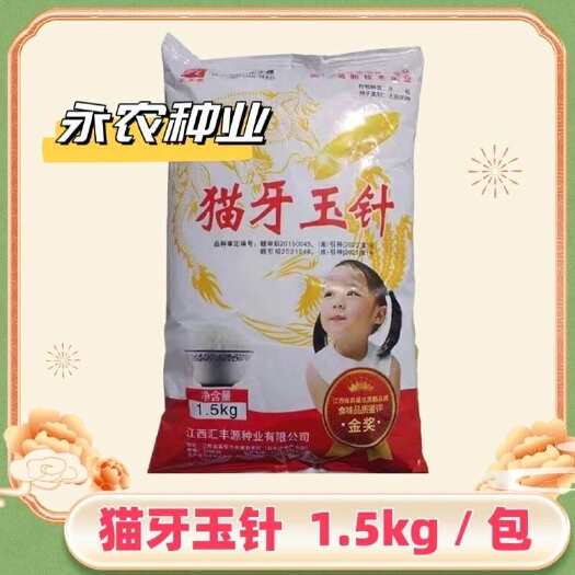 香稻谷种猫牙玉针长粒优质常规矮杆浓香型米饭香甜优质稻正品