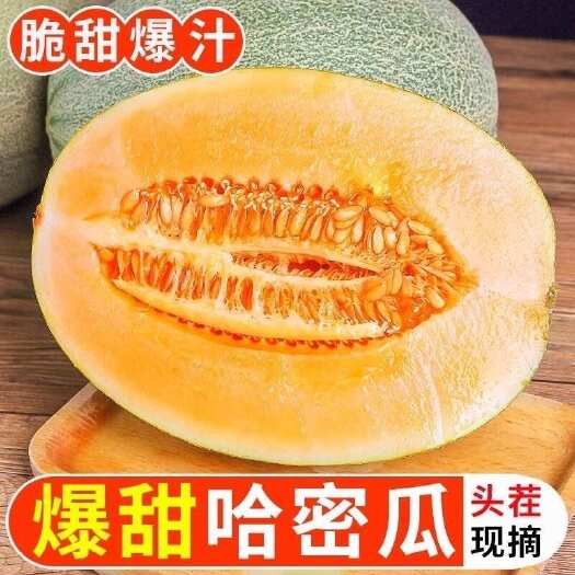 南宁海南哈密瓜晓蜜25号5～9斤装包邮