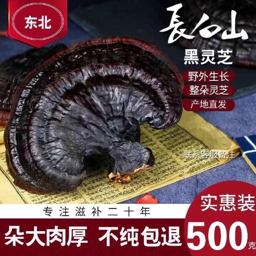 北国雪珍 长白山灵芝紫灵芝正品林芝整枝灵芝片
