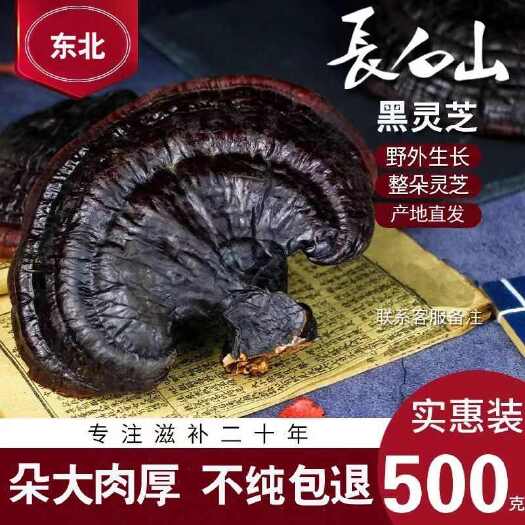南平北国雪珍 长白山灵芝紫灵芝正品林芝整枝灵芝片