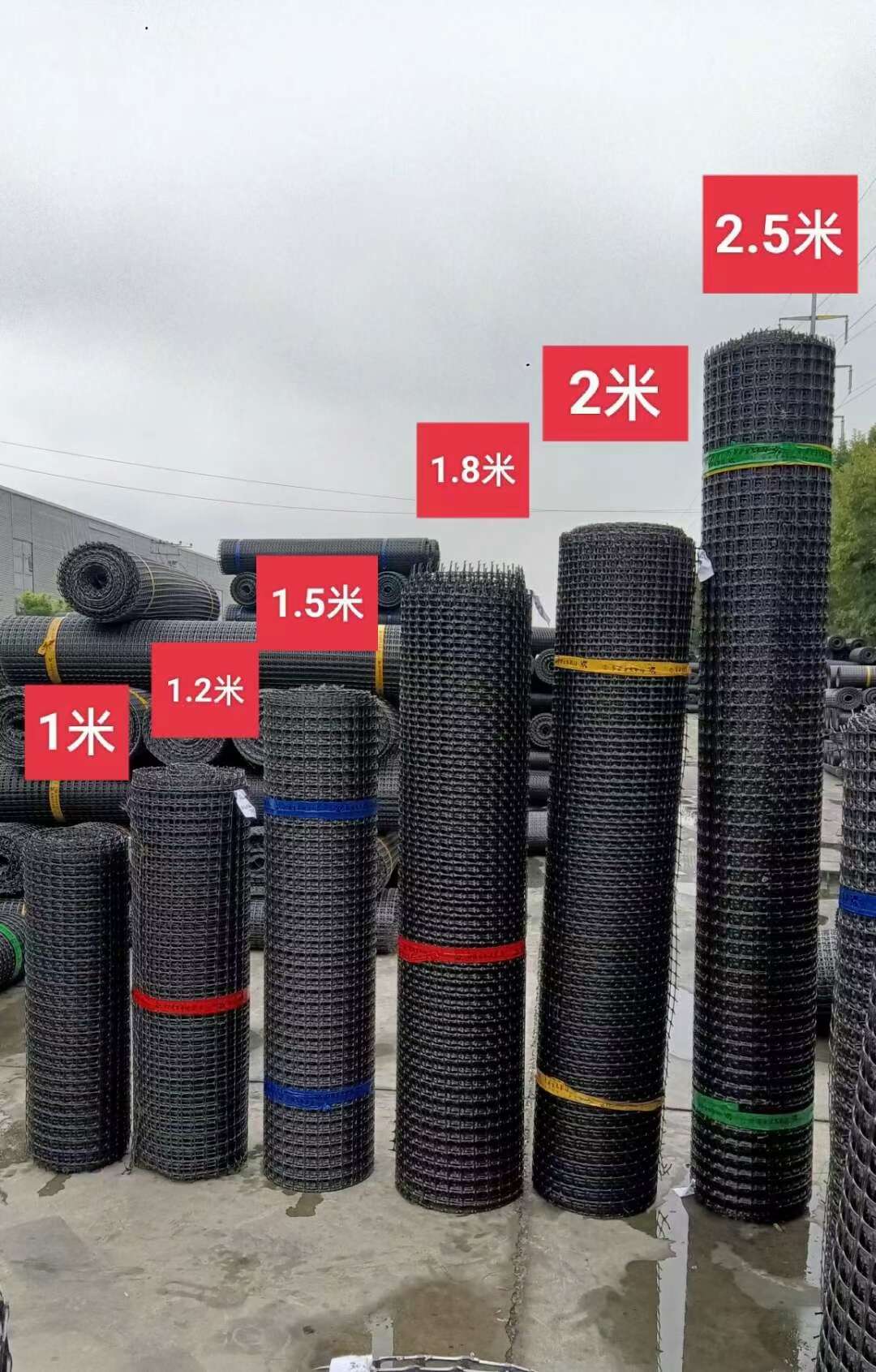 抗晒荷兰网塑料养殖网圈地围栏网拦鸡鸭网鱼塘大棚防兜水网玉米网
