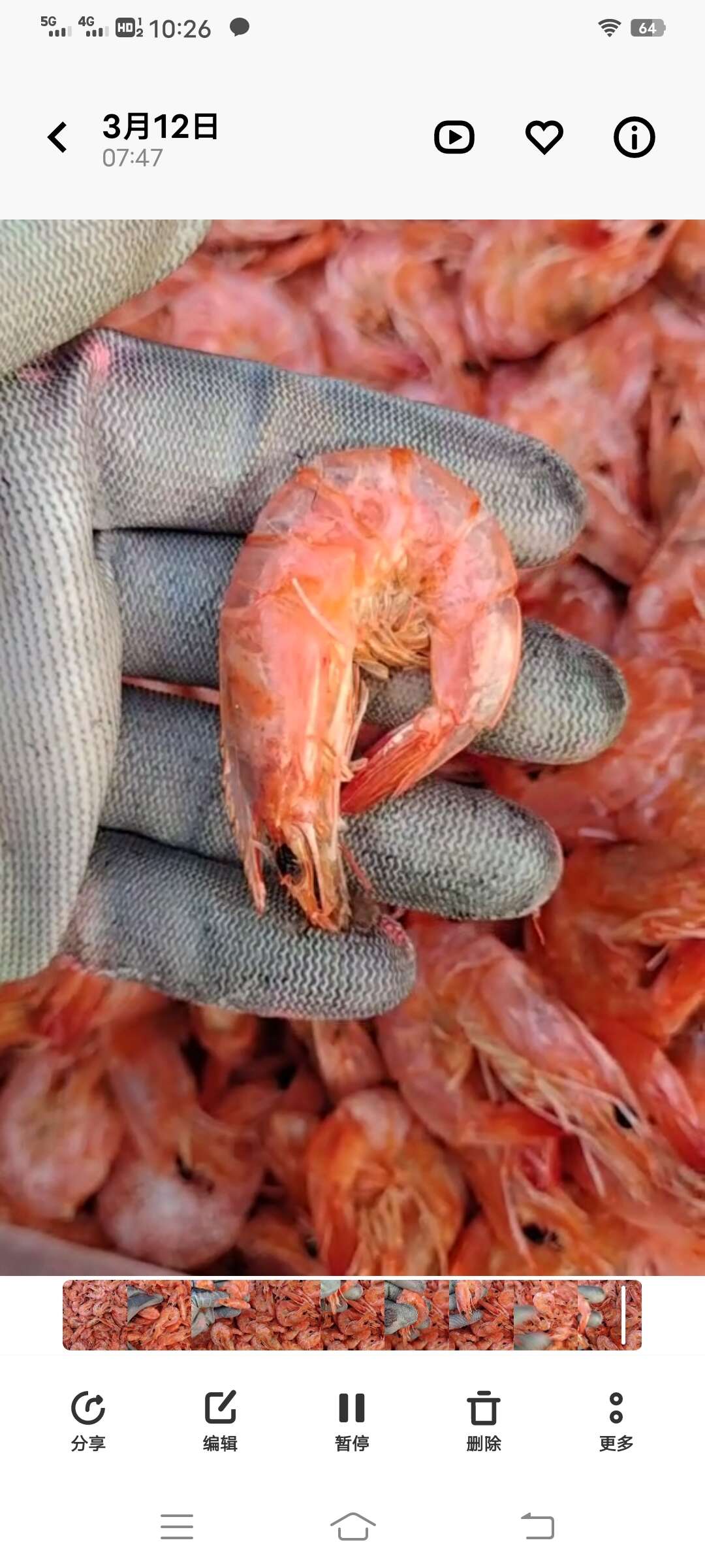 滨州烤虾干！海水虾烘干！干度好有嚼劲！可以空嘴吃的虾干