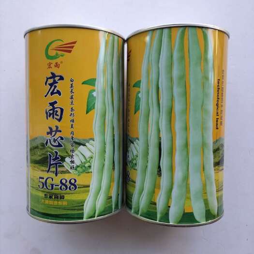 宏雨芯片架豆种子四季豆种子 宏雨白金条架豆种子白荚长云豆种子