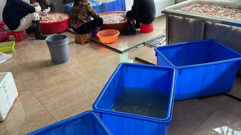 预煮大肠，去油80，90可以定做