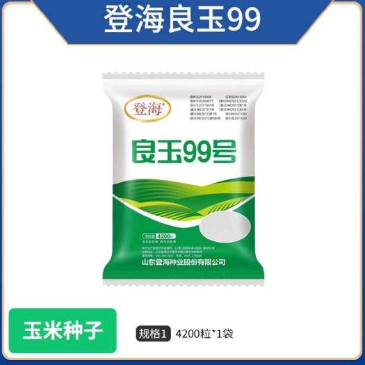 虞城县登海良玉99玉米种