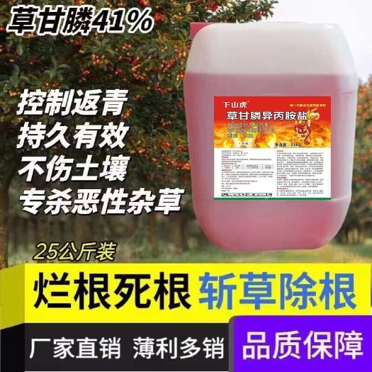 荥阳市50斤大桶41%草甘磷除草剂死根烂根不伤果树斩草除根