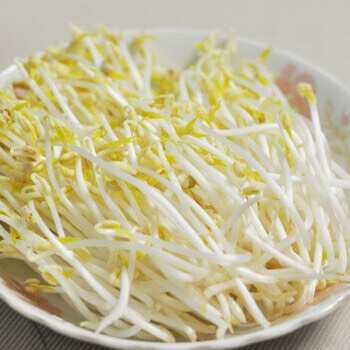 绿豆芽