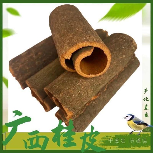 容县肉桂