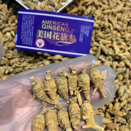 花旗泡花旗参 美国花旗参花旗参泡