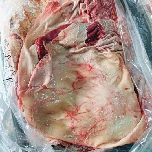 本地黄牛腩 层层分明 性价比超高 有长期稳定供应能力