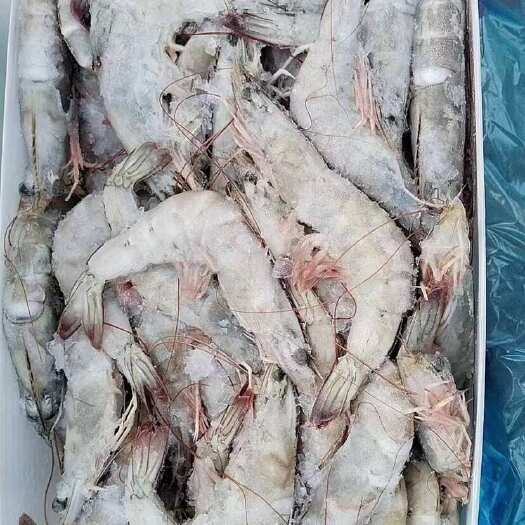济南红太阳盐冻3040 批发一件代发