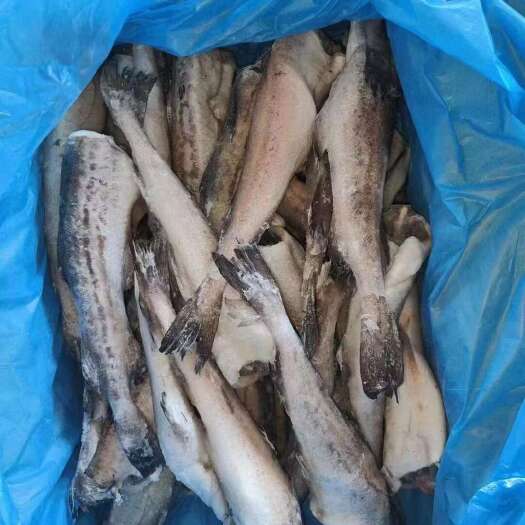 中牟县鳕鱼